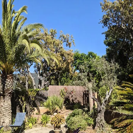 Apartment In Coti Chiavari - Corsica *